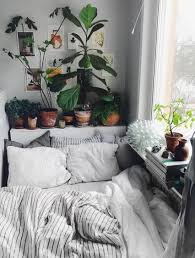57 Ideas Plants Aesthetic Interiors Cozy Small Bedrooms Comfortable Bedroom Cozy Small Bedroom Decor