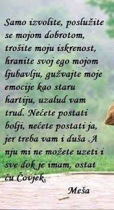 Maybe you would like to learn more about one of these? 67 Mesa Selimovic Citati Ideas Beast Quotes Quotes Mesa