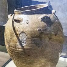 Image result for Oliverella hildebrandtii