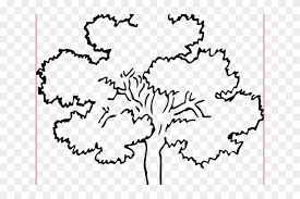See more ideas about tree drawing, tree drawing simple, tree art. Simple Tree Outline Oak Tree Outline Drawing Hd Png Download 640x480 2247616 Pngfind