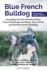 18 month old frenchie black brindle. Buy Blue French Bulldog Care Costs Price Adoption Health Training And How To Find Breeders And Puppies For Sale Book Online At Low Prices In India Blue French Bulldog Care Costs