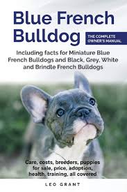 Find miniature bulldog puppies for sale on pets4you.com. Buy Blue French Bulldog Care Costs Price Adoption Health Training And How To Find Breeders And Puppies For Sale Book Online At Low Prices In India Blue French Bulldog Care Costs