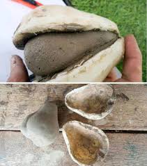 How To Cast Anything With This Two Ingredient Mold Concrete Molds Diy Concrete Diy Concrete Diy Projects