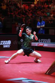 Learn how to backhand topspin like fan zhendong credit: Fan Zhendong Auf Aufschlag Redaktionelles Stockfoto Bild Von Tatigkeit 95509823