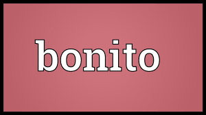 Bonito Meaning Youtube