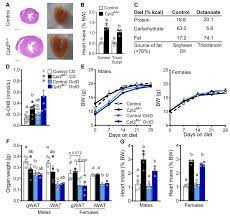 Octanoate Is Differentially Metabolized In Liver And Muscle And Fails To Rescue Cardiomyopathy In Cpt2 Deficiency Journal Of Lipid Research