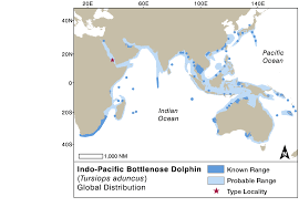 Bottlenose Dolphin Whale Watching Handbook