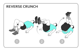 Reverse Crunch Exercise Diagram Core Personal Fitness Workout Workout Gym Workouts Crunches Workout