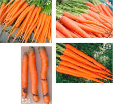 Although most recipes call for just their different colors of carrots also have subtle differences in flavor, which tend to be noticeable when they're eaten raw.4 remember: Consumer Expectations For Vegetables With Typical And Atypical Colors The Case Of Carrots Sciencedirect