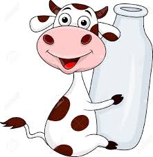 Cow Holding Milk Bottle Cow Pictures Cows Funny Funny Cow Pictures