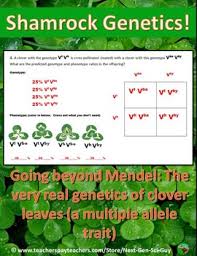 Allele, gene locus, and chromosome. Genes Alleles Worksheets Teaching Resources Teachers Pay Teachers