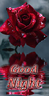 Https Encrypted Tbn0 Gstatic Com Images Q Tbn And9gcsejjjvcwe2klq6j4ll1mruplmdhjr Oifytq Usqp Cau
