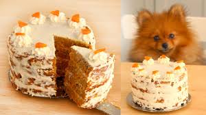 Sponge cakes for dogs are more like a traditional human birthday cake, but without refined. Carrot Cake For Dogs And Humans Cheap Buy Online