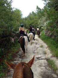 While horses are definitely extraordinary athletes, so are the people that ride them. Crossing The Greenway Picture Of Cactus Jack S Trail Rides Ocala Tripadvisor