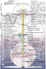 Pin On Body Anatomy
