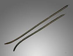 Image result for Cassia sieberiana