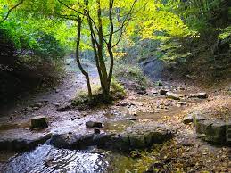 It is situated in the baranya region, in the north of the city of pécs. Mountains Mecsek 12 By Anonnim On Deviantart