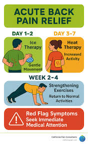 Image result for Low Back Pain Management