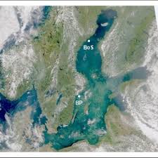 Image result for tbn:TG6q2zp6I3_-sM::balta.ikk.sztaki.hu/webshots/Oceans/12369.jpg