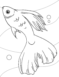 Fish Color Pages To Print Fish Coloring Page Free Coloring Pages Animal Coloring Pages