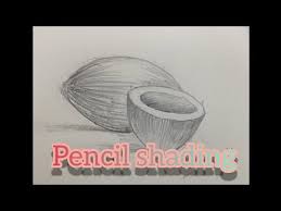 Kawaii island drawing with a coconut tree, sailboat, starfish, seashell and sun.thanks. Pencil Shading Nature Drawing Coconut Youtube Elementary Drawing Pencil Shading Nature Drawing