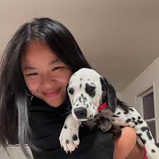 the dog I didn't want but the dog who wants me… seriously he's forced me to  love him by following me around everywhere & cuddling me- his name is  Sigma. @myles.jacobs dream