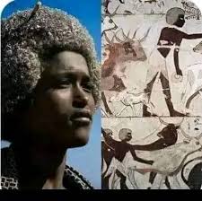 How did africans arrive in abkhazia?