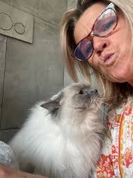 Can't wait to meet my new fur baby tomorrow 💕😻