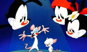 Itch and loses, when pinky points out that mr. Pinky And The Brain Archives Screengeek