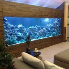 Simge Karaca Adli Kullanicinin Akvaryum Dekarasyon Panosundaki Pin Akvaryum Modern Beautiful