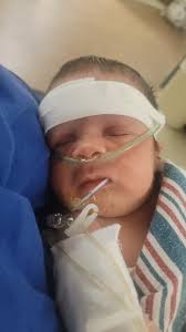 Fundraiser by Michelle Buttry : Compassion for a Tiny Fighter