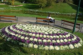 Jubilaum Fur Kurpark Oberlaa Wien Orf At