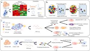  ngs data analysis . Rna Sequencing New Technologies And Applications In Cancer Research Journal Of Hematology Oncology Full Text