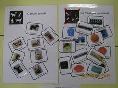 Tri Categorisation Et Lexique Petite Section Petite Section Maths Maternelle Et Lecture De Mots