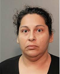 ᐅ Illinois Criminal Records 2009-2026