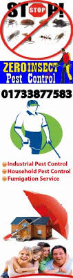With customized services created by. 10 Get Pest Control Services Ideas Pest Control Services Pest Control Pests