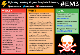 Image result for Cholinergic Toxicity