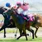 2026 Pink Silks Ladies Charity Race Day event image
