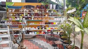 This video is in malayalam. Top 100 Plant Nurseries In Kottayam Best Nursery Plant Suppliers Justdial