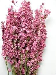 All our products are made by hand, which makes each product unique. Delphinium Bunches Dried Pink Wholesale Dried Flowers Shop