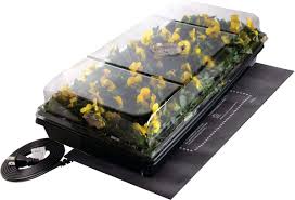 Check spelling or type a new query. Buy Aerogarden 45w Led Grow Light Panel Black Jump Start Ck64050 Germination Station W Heat Mat Tray 72 Cell Pack One Size 2 Dome Online In Paraguay B08sxqjxwp