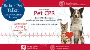Baker Pet Talks Webinar Pet Cpr Cornellcast