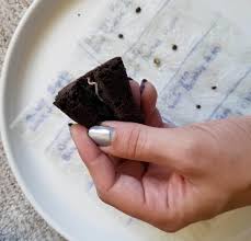 What you need to know here is that you do need to apply a fair amount of water to get this process started. How Do I Germinate Marijuana Seeds Grow Weed Easy