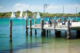 22 Things To Do In Port Macquarie Nsw Port Macquarie Things To Do Port