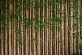 Check spelling or type a new query. Sichtschutz Selber Bauen 25 Garten Ideen Bau Anleitung