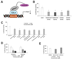 Brewed Coffee and Its Components Act Through Orphan Nuclear Receptor 4A1 ( NR4A1)