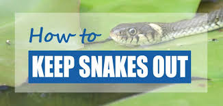Snakes do not actually damage the garden — in fact, common varieties prey on other pests such as slugs, mice, voles and how to naturally repel snakes. How To Get Rid Of Water Snakes Best Snake Repellents Pond Informer