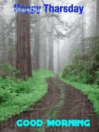 Good Morning Rainy Day Gifs Tenor Good morning with rain images hd. good morning rainy day gifs tenor
