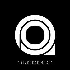 Privelege Music Summer 2017 Charts By Seductex Tracks On