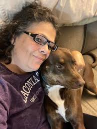 Male boxer needs a new home